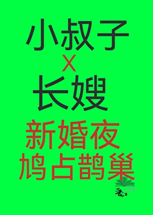 小叔子新婚夜鸠占鹊巢
