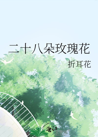 二十八朵玫瑰花