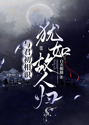 与君初相识，犹如故人归