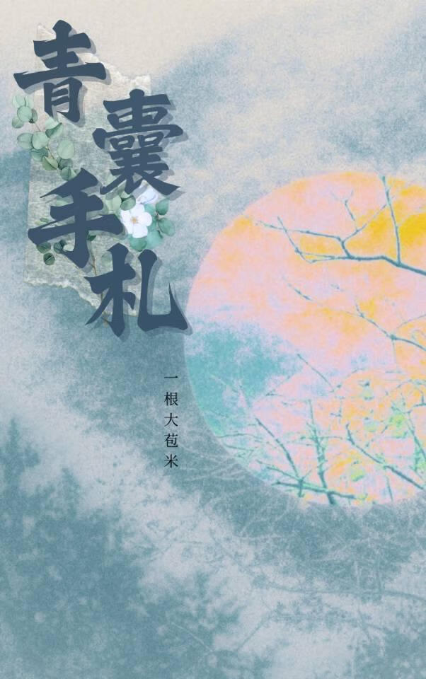 青囊手札