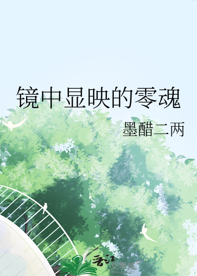 镜中显映的零魂