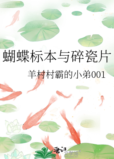 蝴蝶标本与碎瓷片