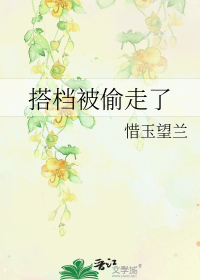 搭档被偷走了