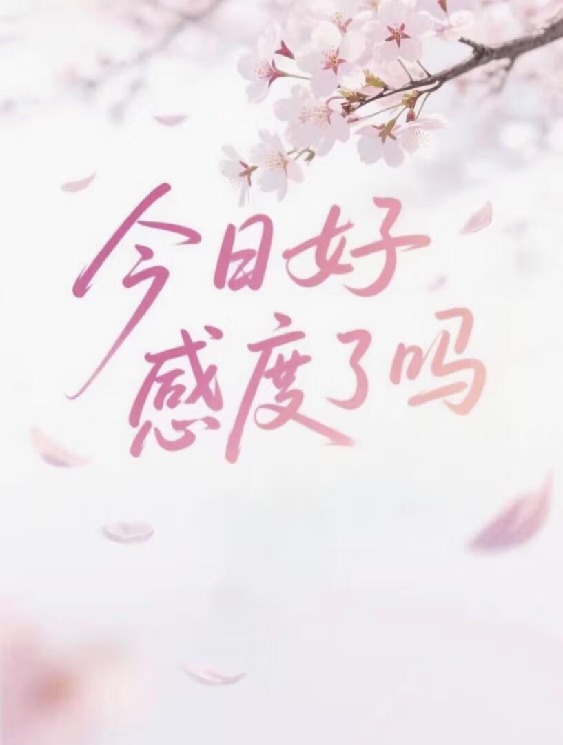 今日好感度了吗