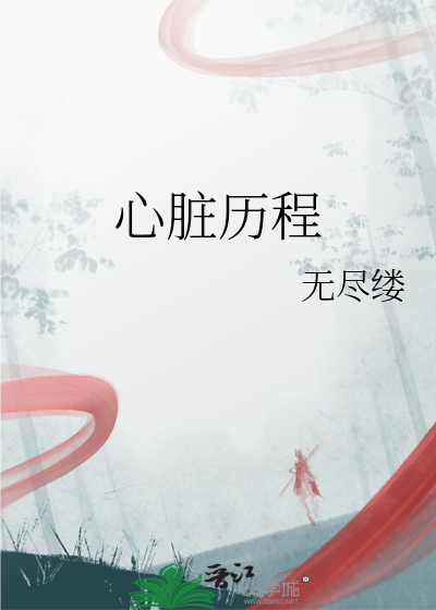 心脏历程