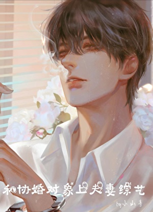 和协婚对象上夫妻综艺