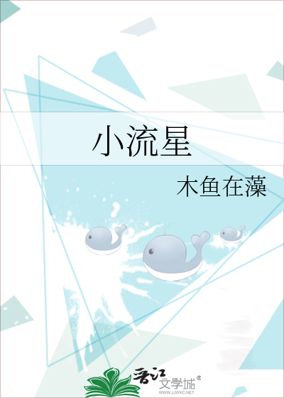 小流星